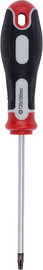 Varo מברג טורקס 100 מ"מ  KRT404107  T20